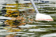 A generic image of an oar in the water with reflections from the crew of the boat at the 2010 Women's Henley Regatta on the River Thames.