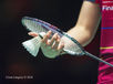 A generic image from the 2016 All England Badminton Championships at the Barclaycard Arena Birmingham.