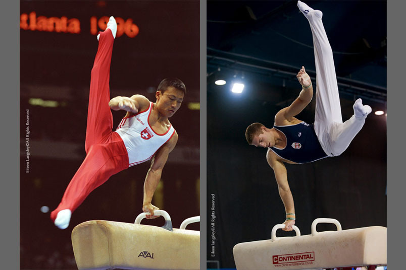 Pommel Horse expertise