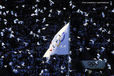 Doves of peace at the Seoul Olympic Games