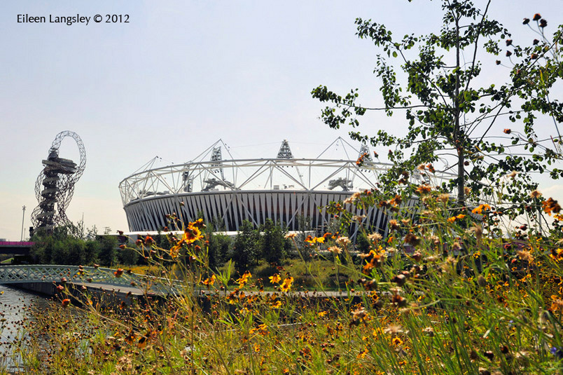 The Olympic stadium