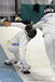 An action image of Enrico Garozzo (Italy) and Siebr Tigchelaar (Netherlands) competing in the Men's Epee event at the 2011 European Fencing Championships at the English Institute of Sport Sheffield July 18th.