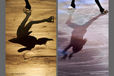 A generic image of the shadows of skaters performing in the Exhibition Gala at the 2012 ISU Grand Prix Trophy Eric Bompard at the Palais Omnisports Bercy, Paris France.