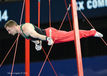 Clinton Purnell (Wales) competing on Rings at the 2014 Glasgow Commonwealth Games.