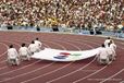 The Paralympic Flag