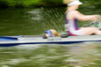 A blurred motion action portrait image of a cox getting wet during a race at the 2010 Women's Henley Regatta.
